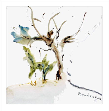 01-arbre-borodougou