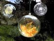 10-bulles-de-sucre