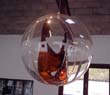 12-bulle-de-sucre